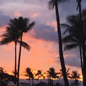 Meet your Posher, Tim-lori