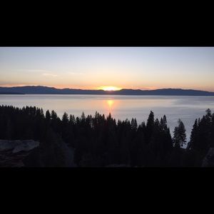 Meet your Posher, Carly