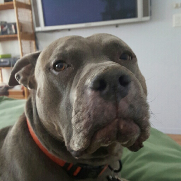 Meet your Posher, Adam