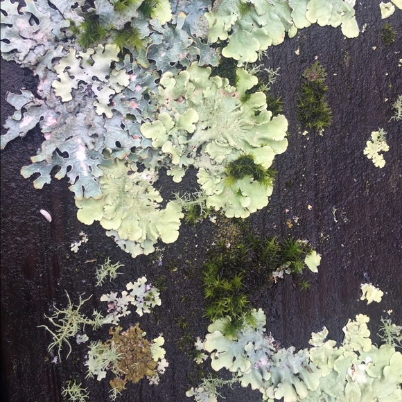 Seller Info - Picture 5 of 5