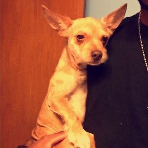 Meet your Posher, Connie