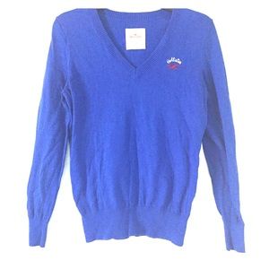 Blue v-neck sweater