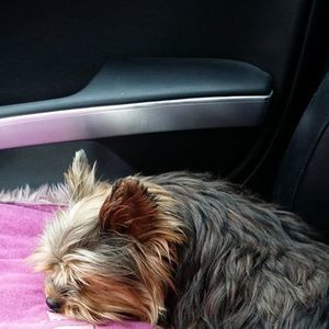 Meet your Posher, Marlene