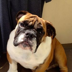 Meet your Posher, Joe