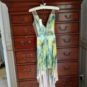 Bebe Spring dress