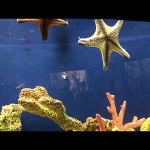 Meet your Posher, Jade