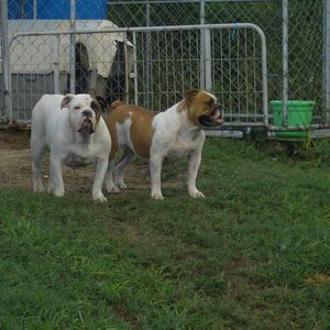 Meet your Posher, Brittney