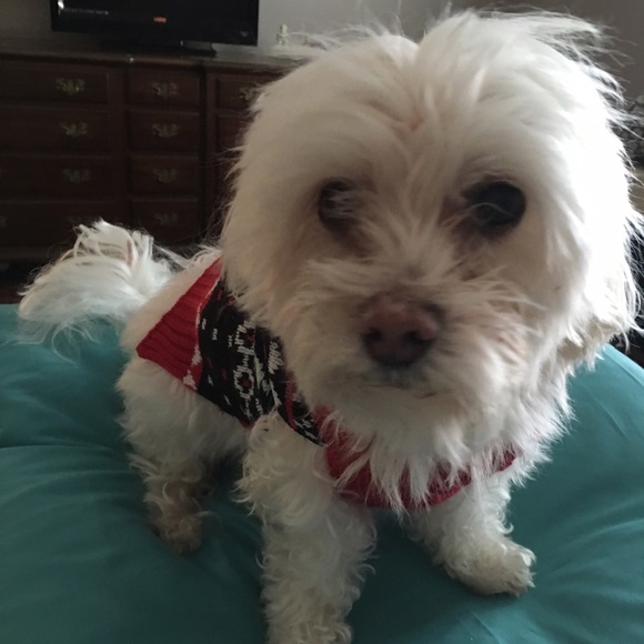 Meet your Posher, Cathy - Picture 1 of 1