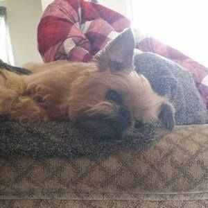 Meet your Posher, Patricia