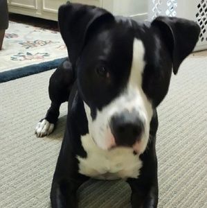 Meet your Posher, Charles