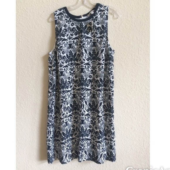 LOFT Navy and White Dress
