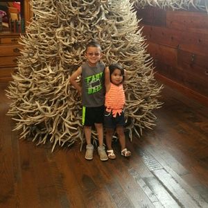 Meet your Posher, Bonnie