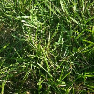 Meet your Posher, Keri