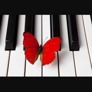 Meet your Posher, Shari