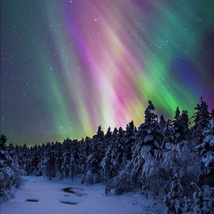 Meet your Posher, Cherie