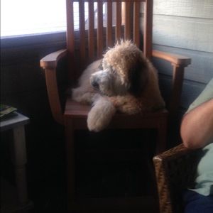 Meet your Posher, Beverly