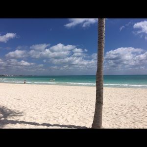 Meet your Posher, Donna