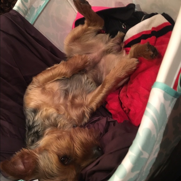 Meet your Posher, Mo - Picture 2 of 4