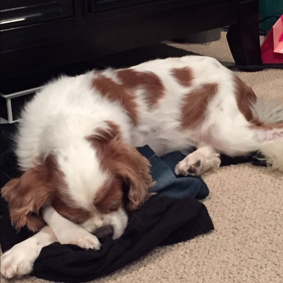 Meet your Posher, Mo - Picture 4 of 4