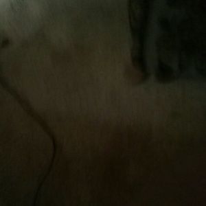 Meet your Posher, Vickie