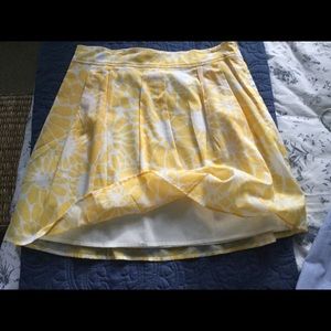 Lands end skirt