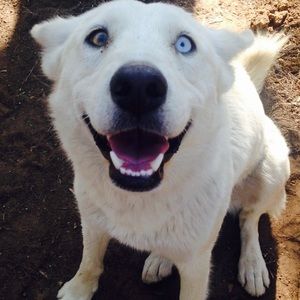 Meet your Posher, Giovanna