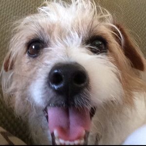 Meet your Posher, Natalia