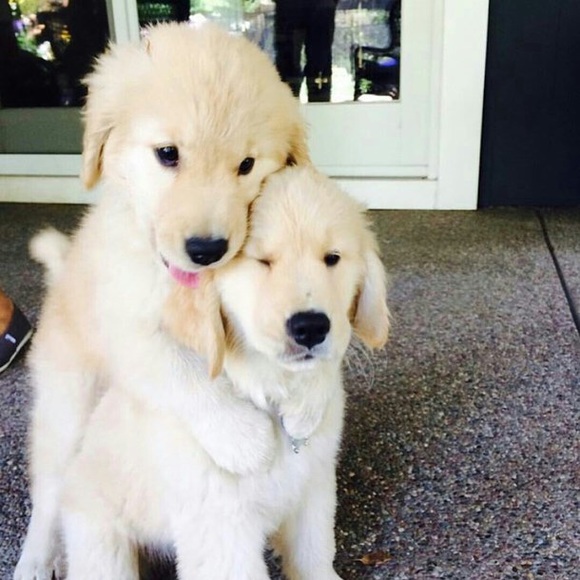 Meet your Posher, Cristina