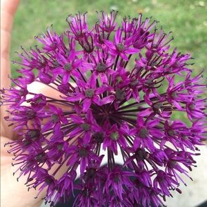 Meet your Posher, Karla