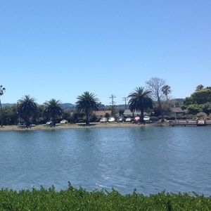 Meet your Posher, Danessa