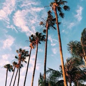 Meet your Posher, Macey