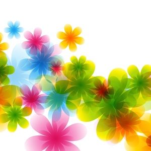 Meet your Posher, Deann