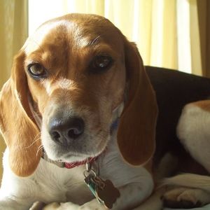 Meet your Posher, Isabela