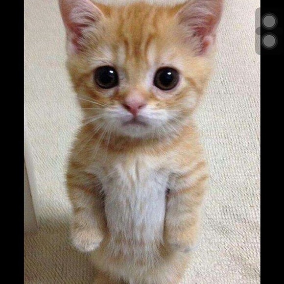 Meet your Posher, Marla