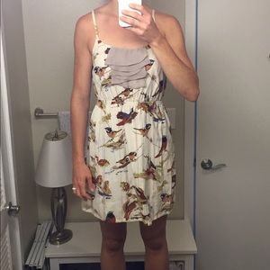 Anthropologie bird print dress