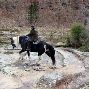 Meet your Posher, Kathy