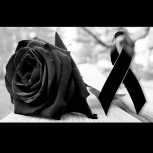 Meet your Posher, Ana