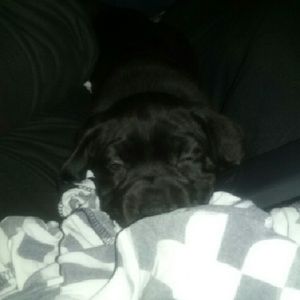 Meet your Posher, Krystin