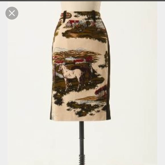 Anthropologie Cartonnier Stable Skirt sz. 2
