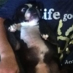 Meet your Posher, Katie