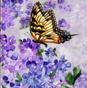 Meet your Posher, Colleen