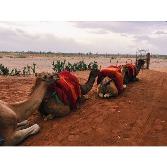 Meet your Posher, Ilse - Picture 7 of 8