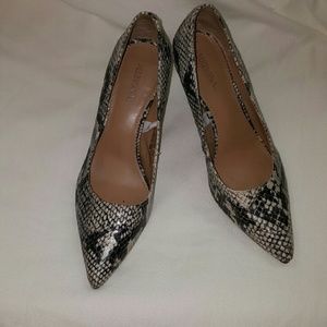 Snake Print Pumps
