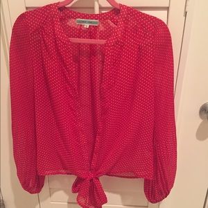 Pleione button up blouse.