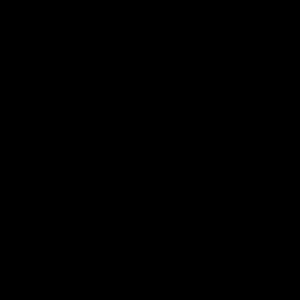 Meet your Posher, Desiree