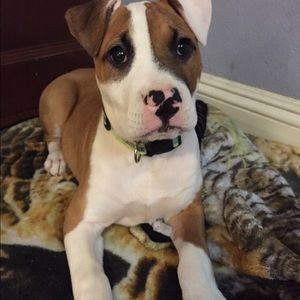 Meet your Posher, Terrence