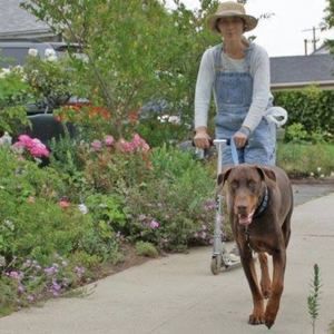 Meet your Posher, Kim