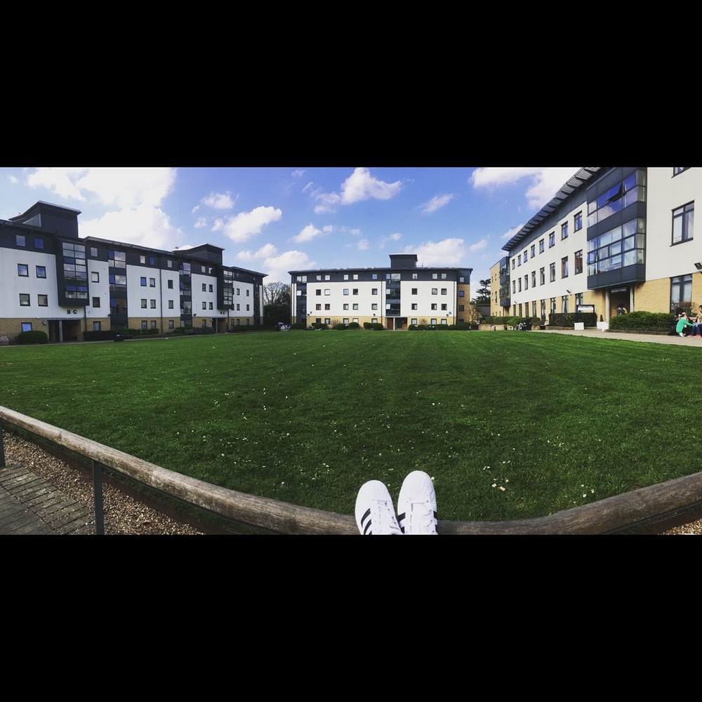 Meet your Posher, Sarah