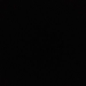 Meet your Posher, Ava