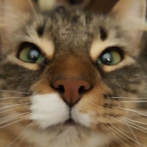 Meet your Posher, Cheryl